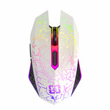 Bervolo® Spider Vezeték Nélküli Gamer Egér, Dual Mód Bluetooth 5.2 & 2.4GHz, RGB, 6 Halk Gomb, 1600 DPI, Type-C Újratölthető, Kompatibilis Windows, MacOS, Linux, Ergonomikus, Fehér